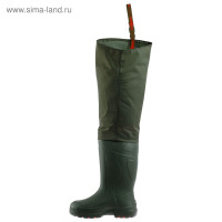  Torvi    ,  ,  45-46