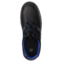    Prosafe Basic 23,  ,  43