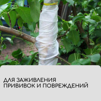  , 10 0.08 ,  60 / ,   -, , Greengo,  20%