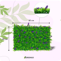  , 60 40 ,  , Greengo