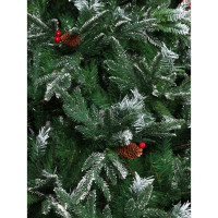    ,   . , 300 , D   160 , 3008    