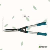 , 22 (56 ),  ,   , , Greengo