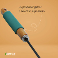  , , 5 ,  29 , ,    , Greengo