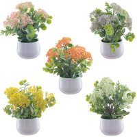 ��������� ����������, L20 W20 H24 ��, 5�.