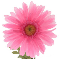 ������ ������������� �������, L28 W28 H95 ��, 3�.