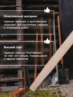  , D = 22 ,  120 ,  , Greengo