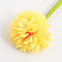 ����� ����������, �������, ����� �����, ������� ���� 1 �� ������� ������������