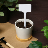 �������� �������, ��� ���������� ��������, 15 ��, ����� 10 ��., ������, �������, �����, Greengo