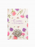 ����� ���������, ����� ����, ����� � �������