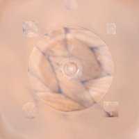    Ricco, 5 , 460 , 11x11x11 , ,  