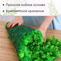  , 60 40 ,  , Greengo