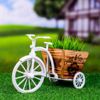      Home & Garden, 26 12 18 , , , 