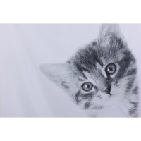     Kitty, 180200 