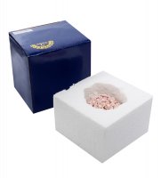 Cms-33/46     (pavone)