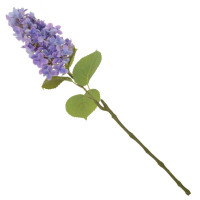    (real Touch), L12 W12 H75 