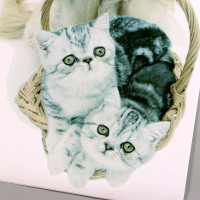   3 Take It Easy   , 57 40 