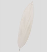Tr 573  