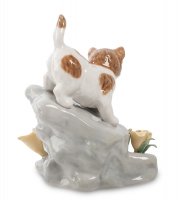 Cms-15/69   (pavone)