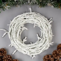   10 , Ip44, ,  , 100 Led,  , 220 