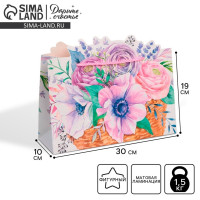 ����� ����������, ��������, ��������� �����, 30 � 23 � 10 ��