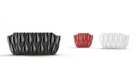   Sea Urchin 216 - L