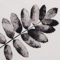   Impression 149110 , 100% ,  210 /2