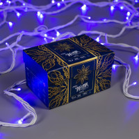   10 , Ip44, ,  , 100 Led,  , 220 