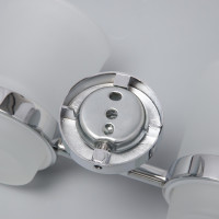    , , Accoona 11304, 2 , ,  