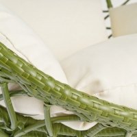    Joygarden Aura Green,  