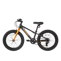  20 Maxiscoo 5bike,   ,  M