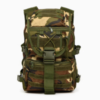   "Storm Tactic" ,  Molle, 40 ,  Woodland