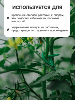     ,   50 ., , , Greengo