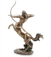 Ws-858 ��������� �������