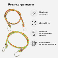     Torso, 80 , D8 ,  , ,  2 