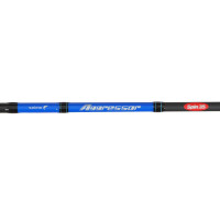 �������� Salmo Aggressor 35, ���� 10-35 �, ����� 2.65 �