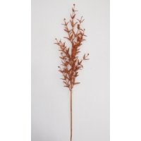   , 76x13  ( .)