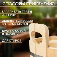  -     , 12 , ,  , 