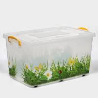      hide Box. , 50 , 60x38x31 ,  , 
