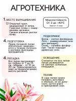    ,     , - 14/16, 3 .