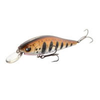  . Lj Pro Series Anira Sp, 8.9 ,  105