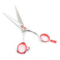   Duet  5,5 Tayo Tq6550