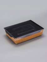 ��������� - ��������, 1 �, ������, � ������� ���������� �������, 20x14x5.5 ��