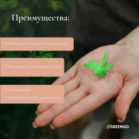    ,  10 ., , Greengo
