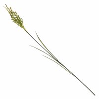 ������������� ������ ������� ����������, 70��, 2�