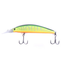  . Lj Pro Series Silver Shiner, 88sp/146