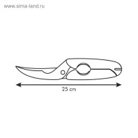  Tescoma Presto  , 25 