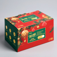   10 , Ip44,  , 100 Led,  , 8 , 220 