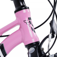  20 Maxiscoo 7bike M200,  