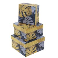 ������� ����������, ����� �� 3-� ��, L17 W17 H9,5 ��