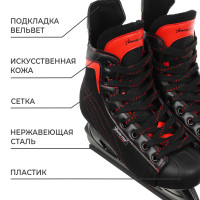   Winter Star Red Line, . 37